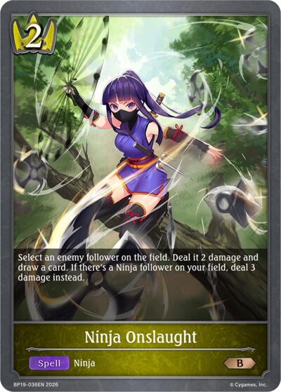 Ninja Onslaught