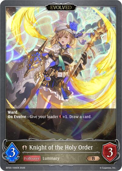 Knight of the Holy Order (Evolved)